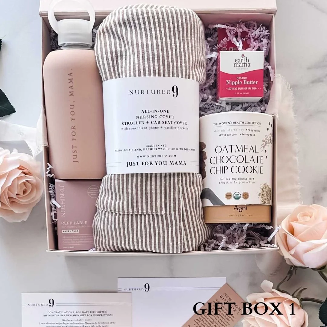 Subscription boxes 2024 for expecting moms